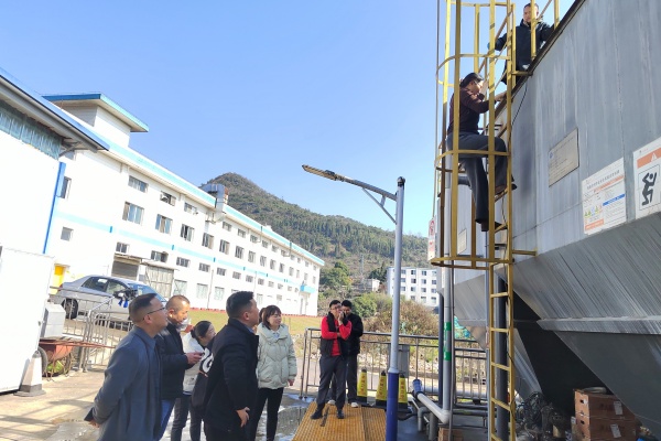 1771054386927787.jpg 5.jpg